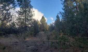 Early Dawn Drive, Big Arm, MT 59910