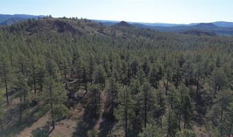 782 Hawks Meadow Dr, Bayfield, CO 81122