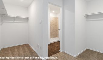 1024 Bluegill Ln, Alvin, TX 77511