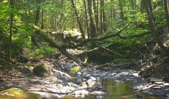 L-25 Sunside Road, Acra, NY 12405