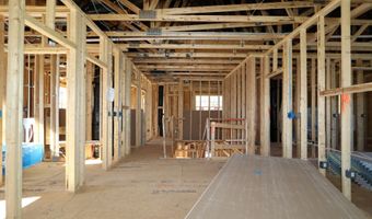 2313 Bee Orchard St, Apex, NC 27502