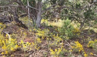 912 Westwood Rnch, Ash Fork, AZ 86320