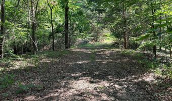 0 County Road 217, Blue Springs, MS 38828