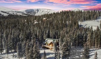 229 Lee Ln, Breckenridge, CO 80424