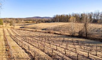 4500 WINERY Ln, Barboursville, VA 22923