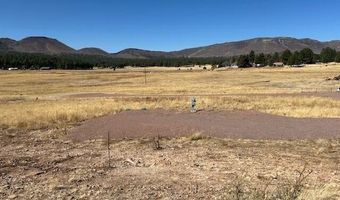 6 County Road 2331, Alpine, AZ 85920