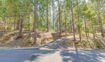 1694 Shoshone Dr, Camp Connell, CA 95223