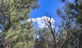 0 Westwood Rnch, Ash Fork, AZ 86320