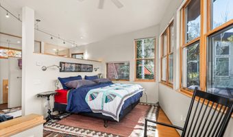 308 Park Ave, Aspen, CO 81611