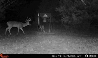 428665 E 1920 Rd, Antlers, OK 74523