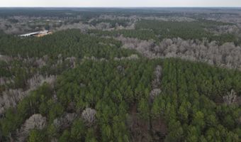 U.S. Highway 51, Bogue Chitto, MS 39629