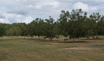 9953 Gravel Hl, Baconton, GA 31716