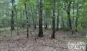 TBD-0 Yeldell Rd, Bastrop, LA 71220