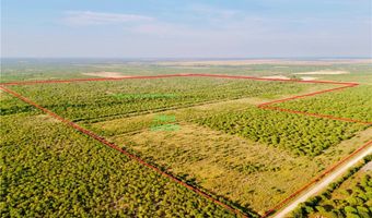 CR 119, Alice, TX 78332