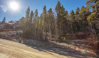 421 N Aspen St, Alma, CO 80420