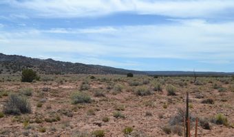 N8577 18, Concho, AZ 85924