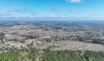 919 County Road 6628, Banks, AL 36005