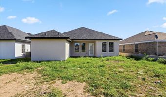 421 Serg Loop, Alamo, TX 78516