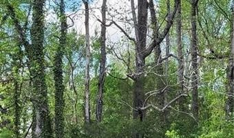 1642 R2 Kersey Valley Rd, Archdale, NC 27265