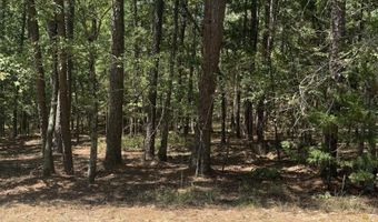 17 Fonsagrada Cir, Hot Springs Village, AR 71909