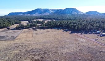 3 County Road N2261, Alpine, AZ 85920