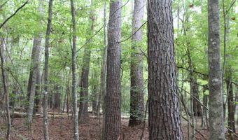 NE Hopewell Road, Brookhaven, MS 39601