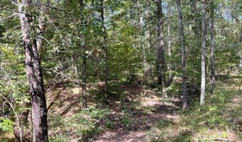 Tract 52 E 1885 Road, Antlers, OK 74523