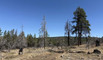 0 Jaguar Ln Lot 4, Bonanza, OR 97623