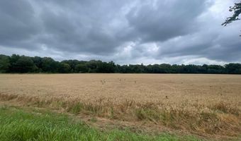 Old Jackson Road, Bells, TN 38006