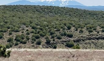 30222102 C W Dozer Ave, Ash Fork, AZ 86320