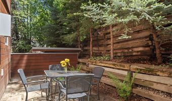 714 S Galena St B, Aspen, CO 81611