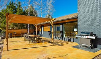 24 Cherry Ln, Basalt, CO 81621
