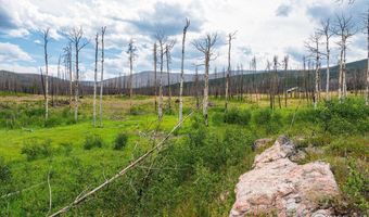 529 Quartz Rd, Bellvue, CO 80512