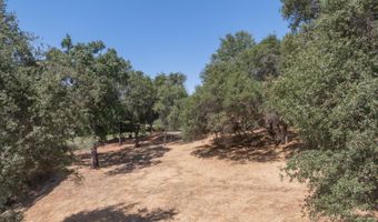 336 Catalpa Ln, Angels Camp, CA 95222