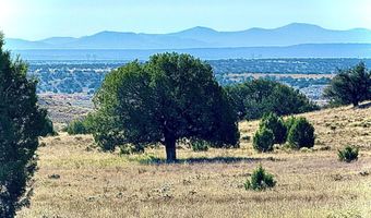 228 County Rd N9328, Concho, AZ 85924