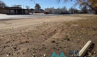 214 S Alameda St, Carlsbad, NM 88220