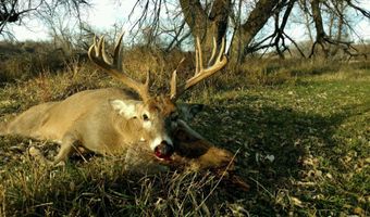 1088 1, Belle Fourche, SD 57717