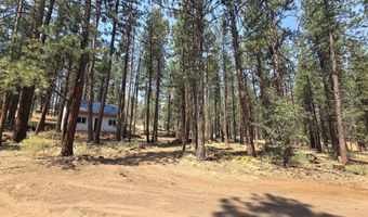 31583 Chicken Hawk Ln, Bonanza, OR 97623