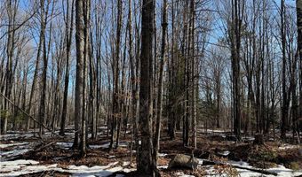 County Hwy G lot 2, Winter, WI 54896