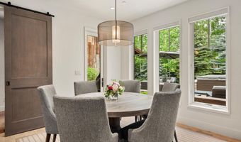 103 S Seventh St, Aspen, CO 81611