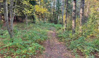 00 E Darling Hill Rd Lot #2 & Lot #3, Burke, VT 05832