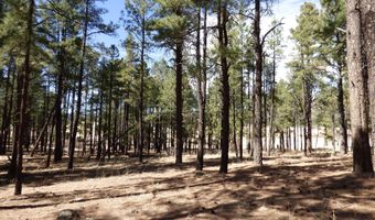 8 B County Road 2267 Escudilla Rd, Alpine, AZ 85920