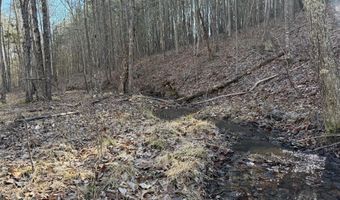 MOUNTAIN CUT RD lot D, Appomattox, VA 24522