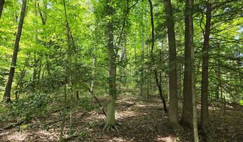 18739 Midland Trl, Ansted, WV 25812