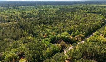 5311 Old River Rd, Baker, FL 32531