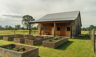 447 County Road 215, Abbeville, MS 38601