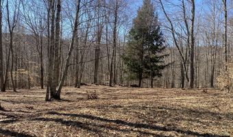 L22.2 Alder Pond Road, Andes, NY 13740