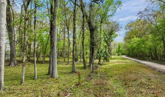 7960 SW 25th Pl, Bell, FL 32619