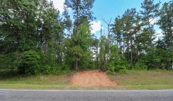 Lot 10 Booster Club Road, Bainbridge, GA 39819