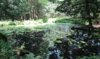 1285 Witchcat Rd, Bakersfield, VT 05441